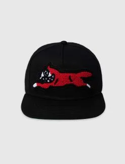 Icecream BARK SNAPBACK HAT